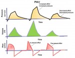 Physiologic Response of Ventilator-dependent Patients with Chronic Obstructive Pulmonary Disease to Proportional Assist Ventilation and Continuous Positive Airway Pressure